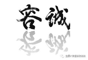 三、 随机灵感库（随手粘贴）**