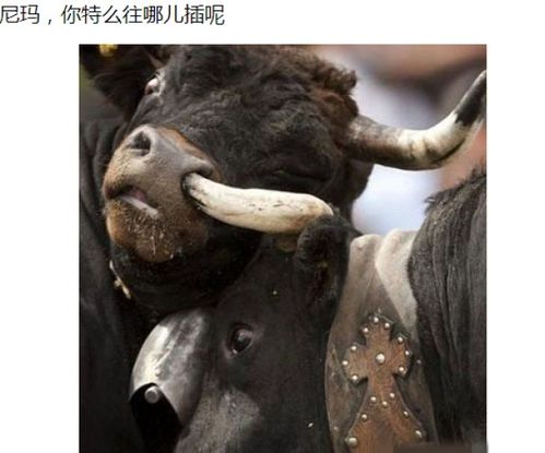 傲慢生肖和昂首威严生肖分别指什么？