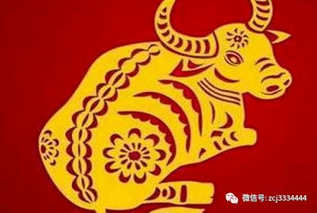 贵人就在你身边！找对生肖抱大腿