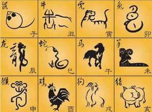 快和井分别代表哪个生肖？这是什么生肖的象征？