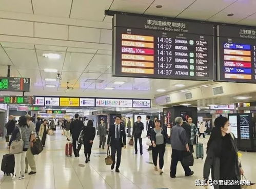 住宿与交通的纠结：住哪儿才是个头？