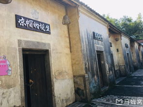 星座与刺绣的奇妙对应——从狮子座到水瓶座的线迹解码