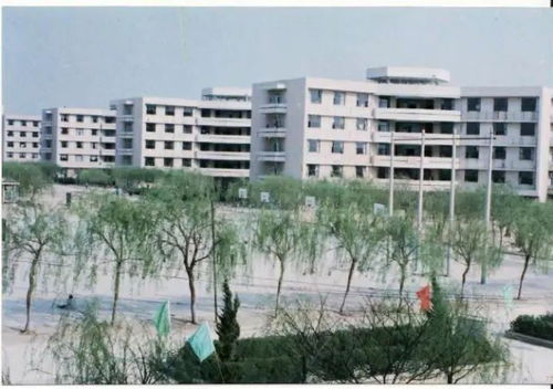 中原较大学：不只是学术， 更是一场视觉与心灵的狂欢