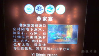 三、多彩活动与惊喜等你探寻！