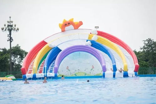 项目体验两极分化！