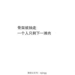 属兔的看过来！2026年你们要这样搞事情
