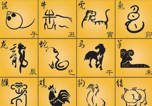 十二生肖风水最好的方位是哪个？哪个方位对十二生肖风水最有利？