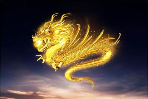 第二章：生肖龙的傲娇日常
