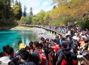 尖叫声此起彼伏的神奇乐园