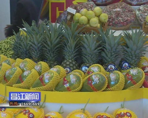 香榧：祖传