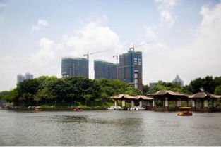 车城生存法则：越不务正业越快乐