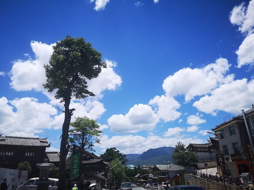 那些不得不去的景点，还有不得不避的雷