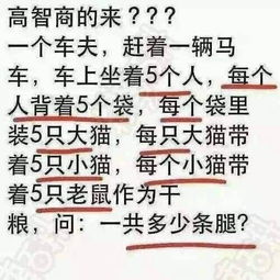 废弃楼与生肖阴阳
