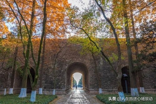 三、初夏午后中山陵的美景与美食（自带滤镜！）
