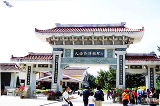 情绪变化波动记录：