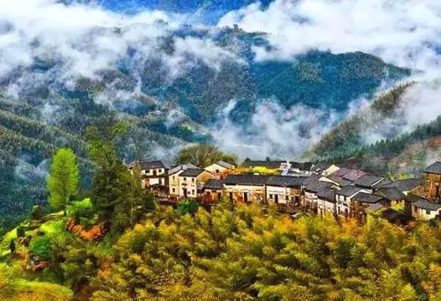 黄山， 那点儿不被旅行手册写进来的“暗角”