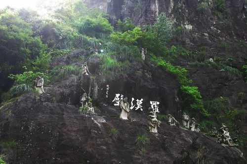 一、 风雨里的一抹光影