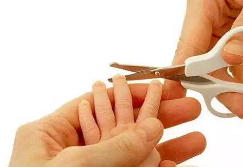 救命！我家剪刀半夜自己动了