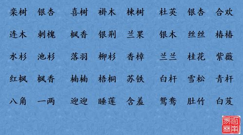职业化命名法——今后持续发展潜力较大