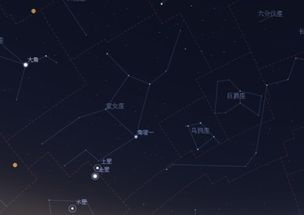 星座运势的启示