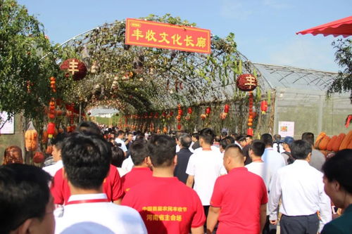 丰收节：农耕文化传承，庆丰收，祈五谷丰登