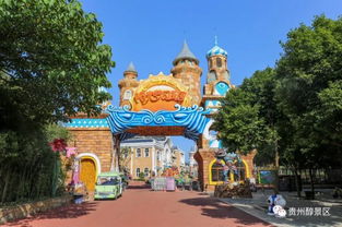 伊宁旅游景点攻略大全：一场说走就走的混乱之旅