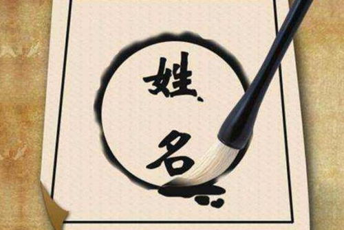 缙云的名字有什么特点？