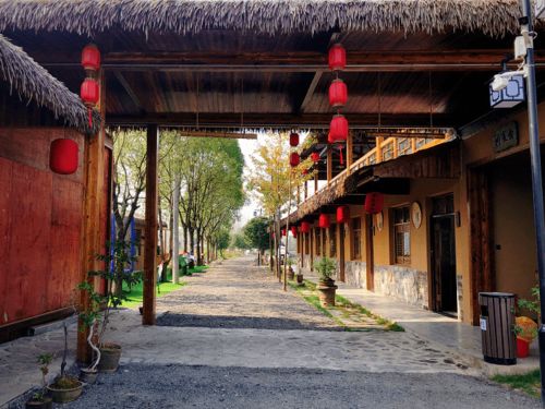 中山土掉渣农家乐：一场让你笑到肚子痛的乡村囧途