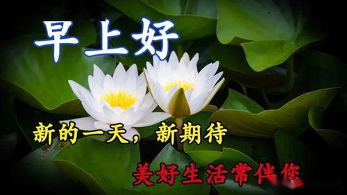 阳光积极的网名示例