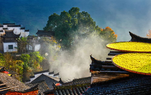 篁岭景区内的高端住宿