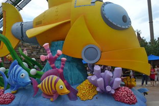 一、意外惊喜，开启我的“迷路”之旅