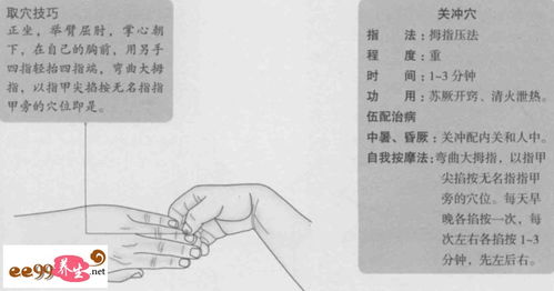 三尺童子指的是哪个生肖？