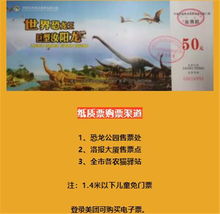 门票这玩意儿咋搞？