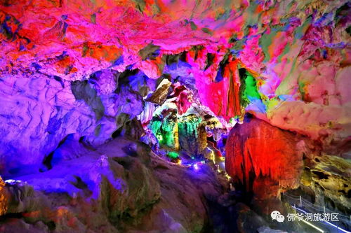一、破碎的门票市场价格——到底要掏更多更少个口袋？