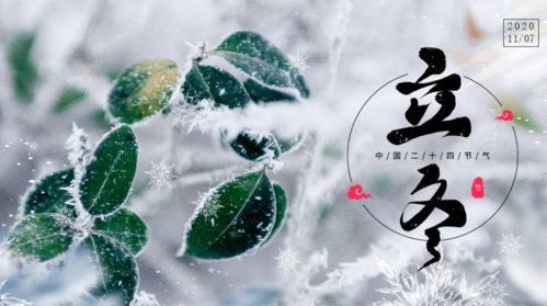 立冬风俗，二十四节气冬季序曲，爆款来袭！