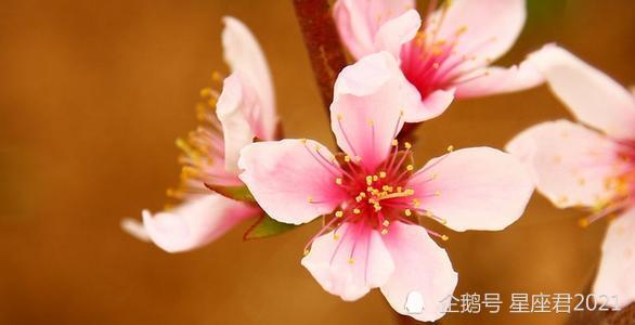 本命年结婚的那一些事儿