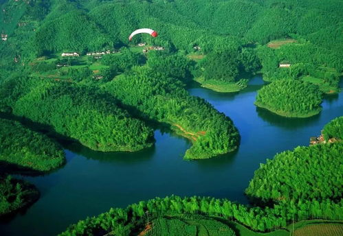 蜀南竹海：震撼心灵的绿色奇迹