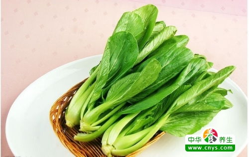 青菜类：清爽到让人上头