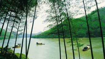 游玩实录：一场与蚊子的生死搏斗