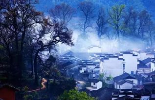 震惊！2026年去婺源会撞上