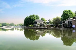 三、 楚韵风华——文化底蕴与天然混搭套餐