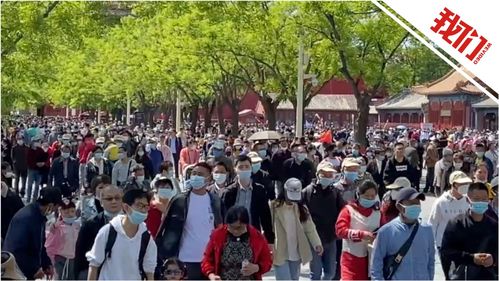 五一热潮下的故宫：一场关于“深度”的混乱与狂欢
