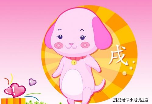 哪些生肖女晚年长寿又幸福？