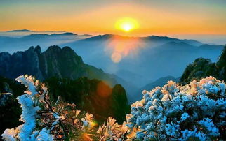 黄山：云海美到哭！