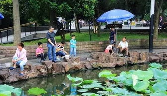 苏州乐园等你来玩，免费景点攻略在手（苏州乐园不是园林吧？）