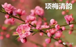 断肠坡与桃花源:教室位置的影响