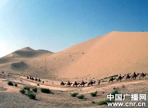 第四天：敦煌莫高窟——壁画艺术的瑰宝？更像古老洞穴里的涂鸦