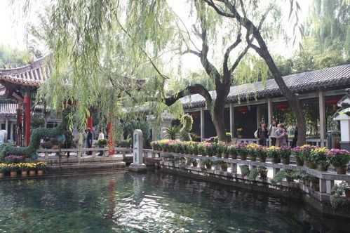 1. 唐冶山公园：步步皆景