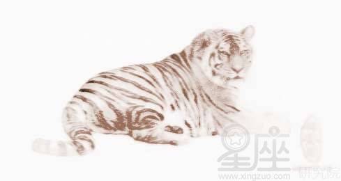 属虎相冲的那一些“较小可炎热爱”