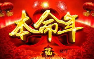 太岁的概念